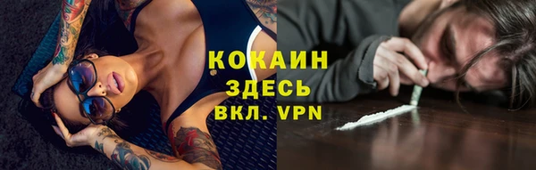 ALPHA PVP Каменка