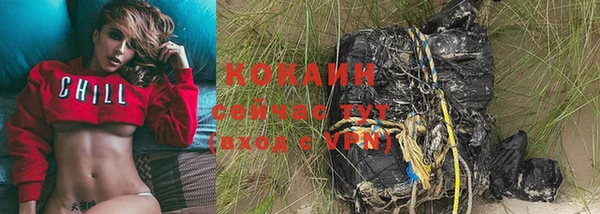 гидра Кинешма