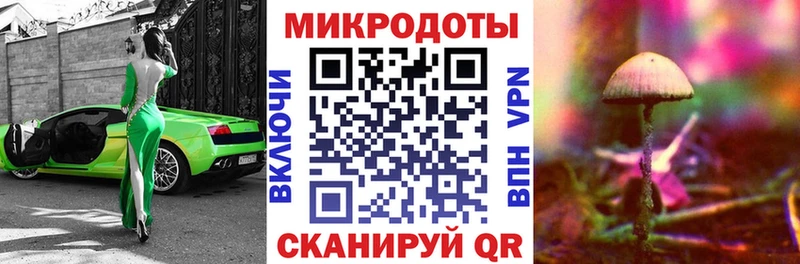 купить наркотики сайты  Стародуб  Псилоцибиновые грибы Magic Shrooms 
